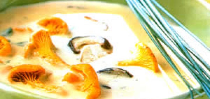 суп из лисичек