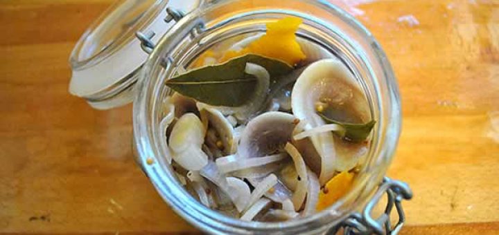 рулетики из маринованной сельди