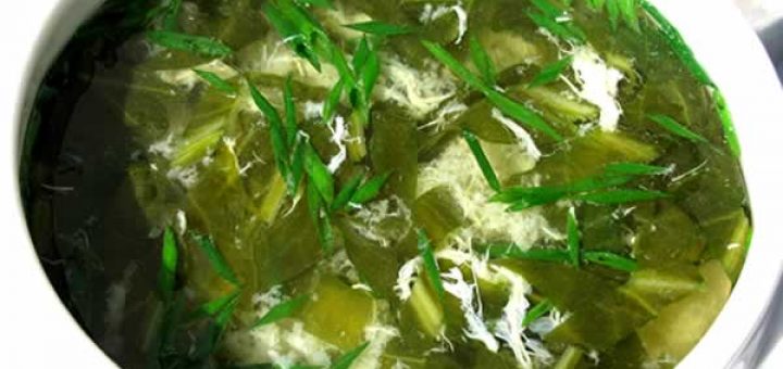 щи из щавеля