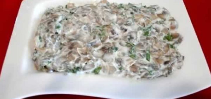 закуска из грибов