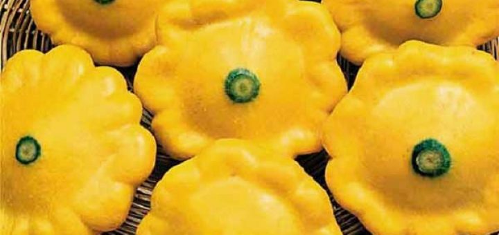 патиссоны отварные